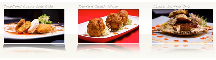 Css Template Preview