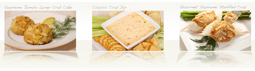 Css Template Preview